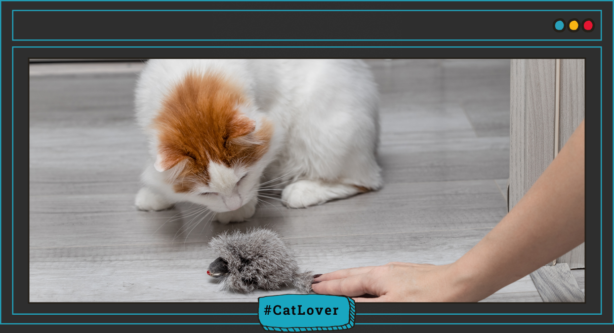  por qué los gatos cazan
